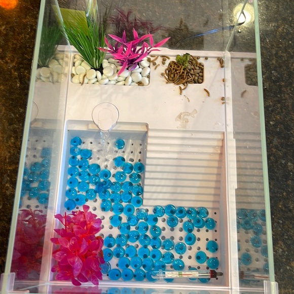 Small turtle tank. (Dimensions are on picture)